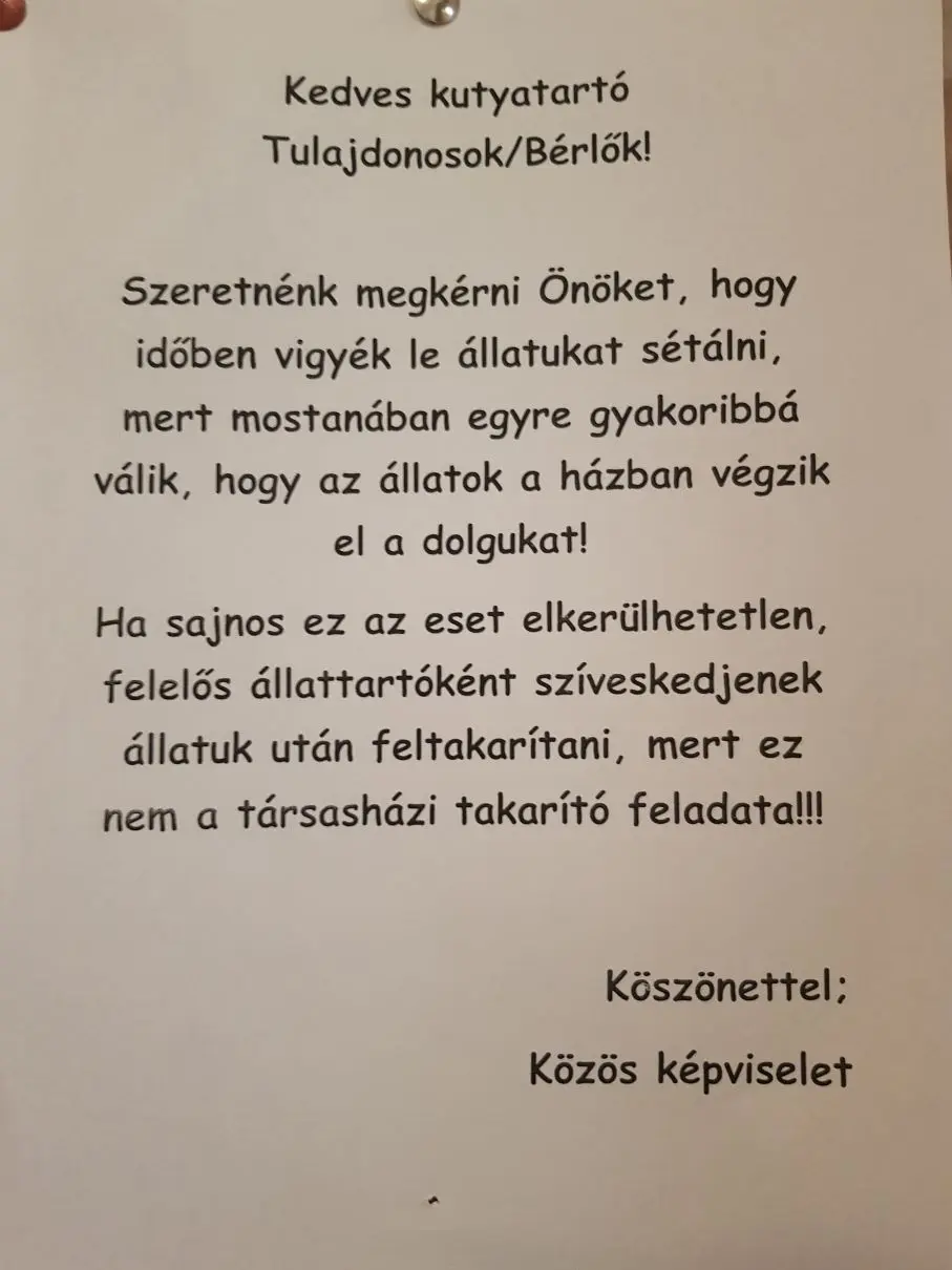 Állatok is élnek velünk